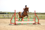 SBM_001641