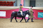 SBM_00282