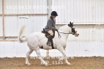 BPP_1181