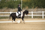 SBM_001283
