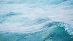 GEORGIAN BAY, 2015 - BRUCE PENINSULA