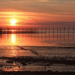 Solway Sunset