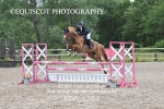 BPP_1384