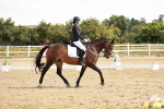 SBM_002572