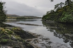 Bantry Bay from Glengarriff 2