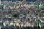 Winter Reflections