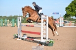 Cls 13 Snr Foxhunter portfolio