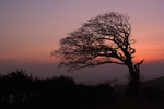 Winter sunset, Raddon