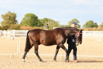 SBM_18322