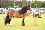 SBM_06069