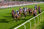 240824-Race 7-Sir Busker-1983