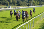 141023-Race 5-Certain Lad-1330