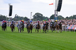 250726-Race 1-Kodiac Thriller-6687