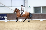 Class 4 Novice 4 portfolio