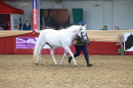 SBM_17475