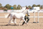 SBM_22765