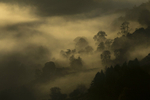 Llangollen misty morning photographs