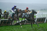 141125-Race 6-Frontier Prince-1512