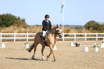 SBM_012513
