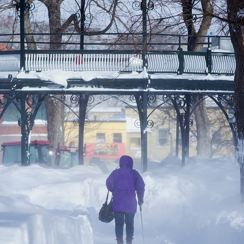 A pedestrian walks through King's Square and towards the bandstand amid frigid temperatures & wind whipped snow.