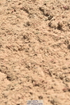 230720A-112452-02398
