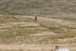 Sedbergh Hills-395