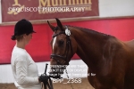 BPP_2368
