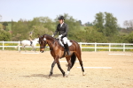 SBM_007528