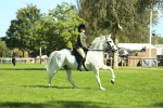 SBM_39173