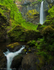 Elowah Falls
