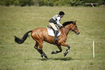 BVHT 140517  IXC -176