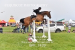BPP_7439