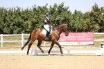 SBM_004811