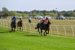 Race 3 15:15 Happy 50th Birthday Victoria Melling Handicap portfolio