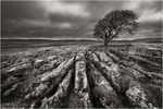 Malham Moods