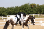 SBM_004167