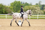 SBM_005917