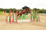 SBM_001834