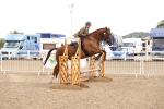 SBM_07458