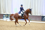 SBM_006069