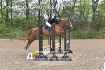 BPP_9451