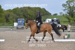 BPP_5960