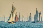 z3243 Round the Island Race, Cowes