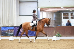 SBM_003797