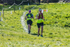 The Finish-2366