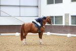 SBM_000937
