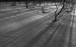 Snowscapes, Northern Finland