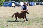 WJ6_4617