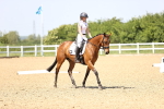 SBM_009150