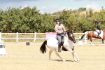 SBM_011500